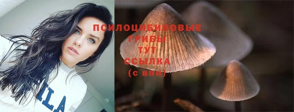 гашиш Алексин