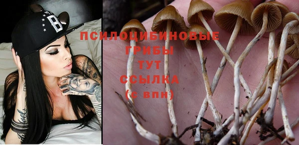 гашиш Алексин