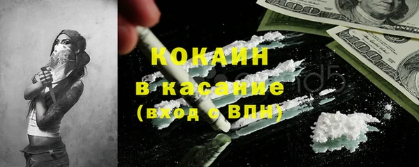 твердый Алзамай