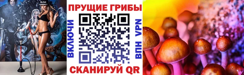 гидра зеркало Октябрьск Псилоцибиновые грибы Cubensis